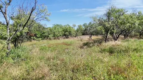 705 County Road 181, Comanche, TX 76442 photo 25