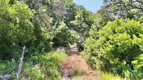 705 County Road 181, Comanche, TX 76442 photo 17