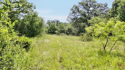 705 County Road 181, Comanche, TX 76442 photo 28