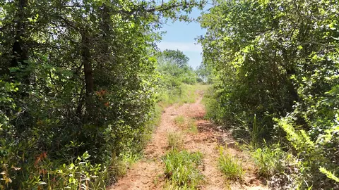 705 County Road 181, Comanche, TX 76442 photo 29