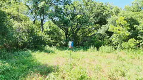 705 County Road 181, Comanche, TX 76442 photo 20