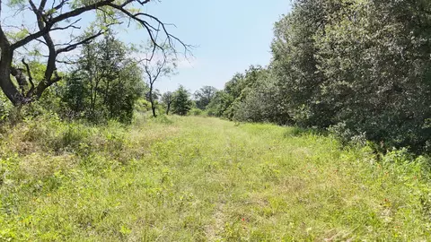 705 County Road 181, Comanche, TX 76442 photo 24