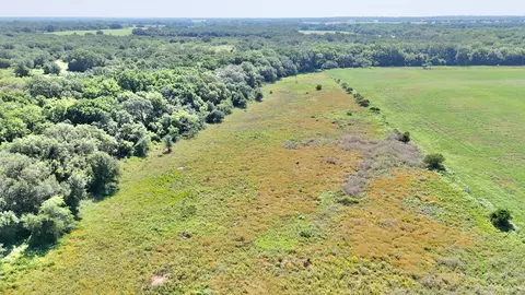 705 County Road 181, Comanche, TX 76442 photo 18