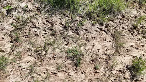 705 County Road 181, Comanche, TX 76442 photo 21