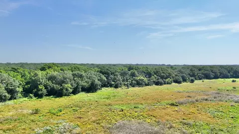 705 County Road 181, Comanche, TX 76442 photo 19