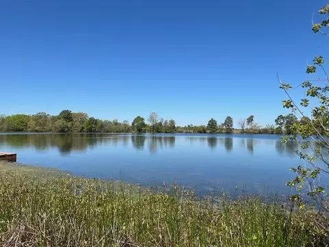 View/Area - 1613 Lakeshore Dr, Sulphur Springs, TX 75482 photo 1 of 1