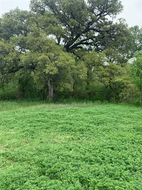 Exterior - 106 Ray Barnes Dr, Bangs, TX 76823 photo 8 of 10