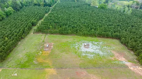 tbd Hack Berry Rd, Gilmer, TX 75644 photo 10