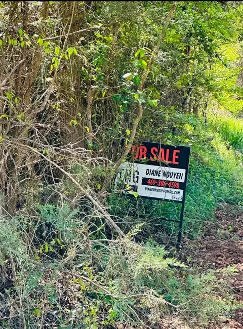 tbd Hack Berry Rd, Gilmer, TX 75644 photo 11