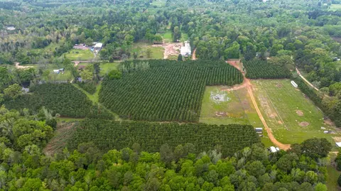 tbd Hack Berry Rd, Gilmer, TX 75644 photo 4