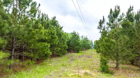 tbd Hack Berry Rd, Gilmer, TX 75644 photo 6