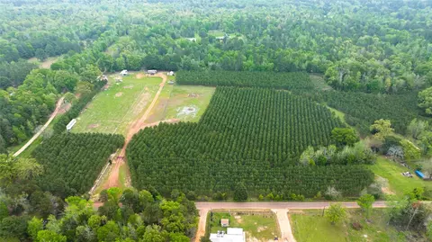 tbd Hack Berry Rd, Gilmer, TX 75644 photo 3