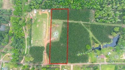 tbd Hack Berry Rd, Gilmer, TX 75644 photo 2