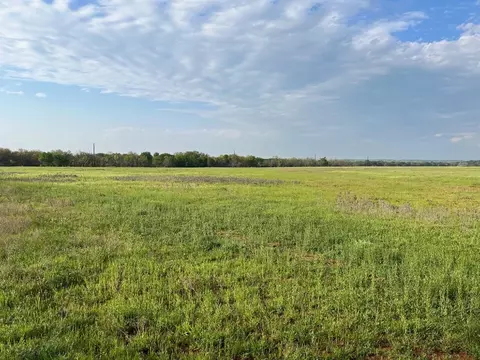 E. 34.1 Hoffman Road, Loving, TX 76460