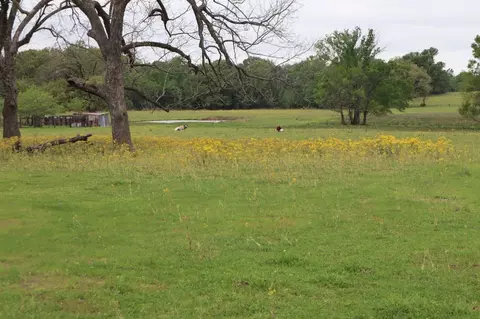 tbd Rs County Road 2365, Alba, TX 75410