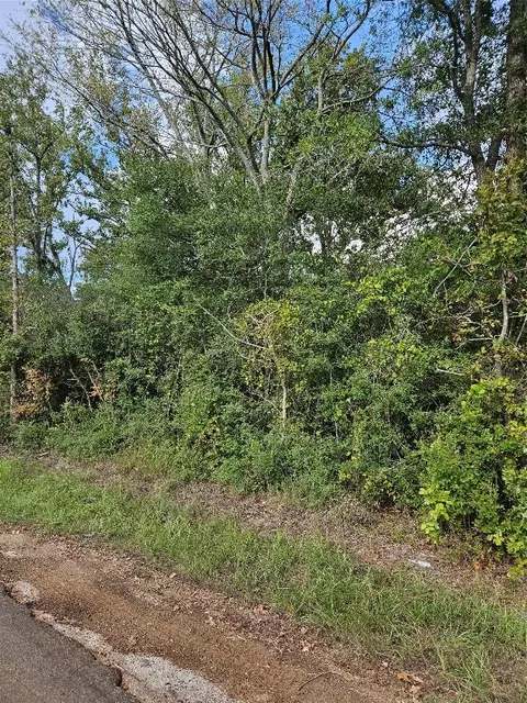 Tbd Blocker Road, Marshall, TX 75672