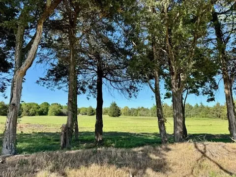 Tbd County Road 2300, Telephone, TX 75488