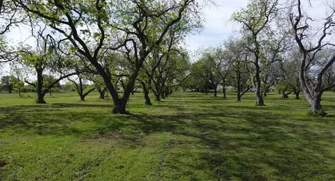 601 Godfrey Rd, Comanche, TX 76442 photo 37