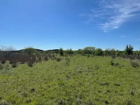 Lot 22 Northern Bobwhite Court, Graford, TX 76449