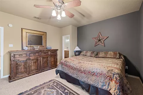 1203 Eagle Pt, Graford, TX 76449 photo 11