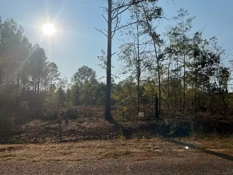 1 Lake Rd, Plain Dealing, LA 71064