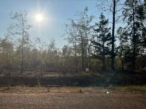 2 Lake Rd, Plain Dealing, LA 71064