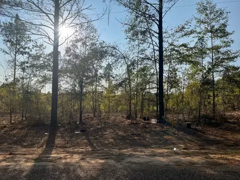 3 Lake Rd, Plain Dealing, LA 71064
