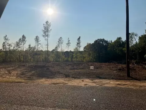4 Lake Rd, Plain Dealing, LA 71064 photo 3