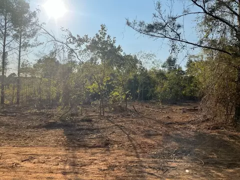 5 Lake Rd, Plain Dealing, LA 71064 photo 2