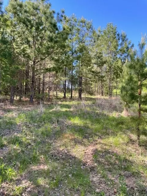 Pr 6294 Private Road 6294, Palestine, TX 75801