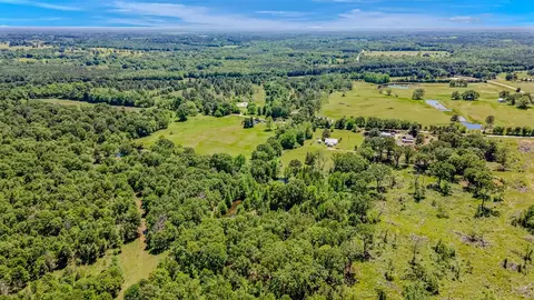 View/Area - 215 County Road 4263, Simms, TX 75574 photo 4 of 11