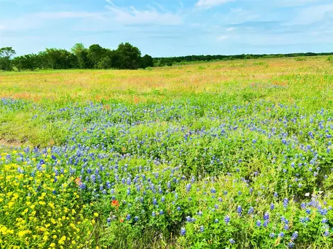 tbd Pr 373 County Road 3373, Hubbard, TX 76648