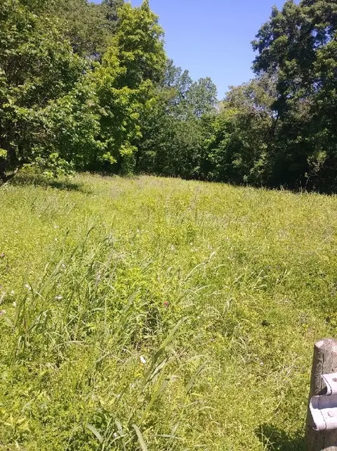 5229 Arrowdell Rd, Balch Springs, TX 75180
