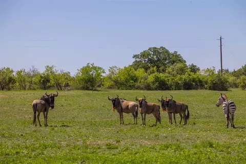 569 Cr 177 Cr 177, Sidney, TX 76474