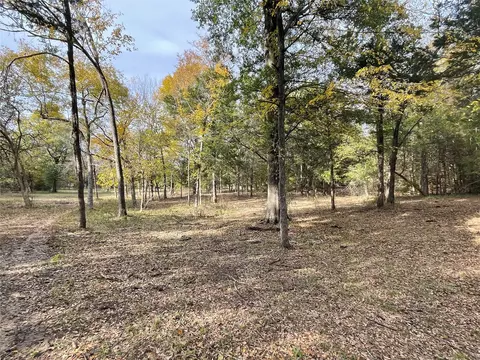 Tract 1 Cr 2615, Lamasco, TX 75488