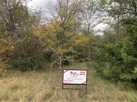 26 Chaperial Road, Retreat, TX 75110