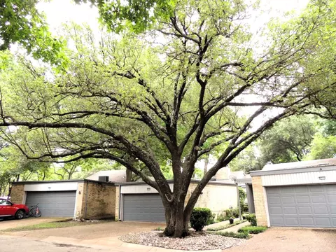 6323 Elder Grove Dr, Dallas, TX 75232