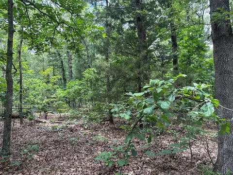Tbd County Road 2131, Detroit, TX 75436
