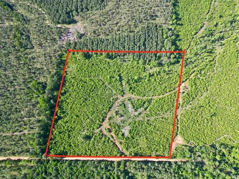 tbd County Road 2339, Atlanta, TX 75551