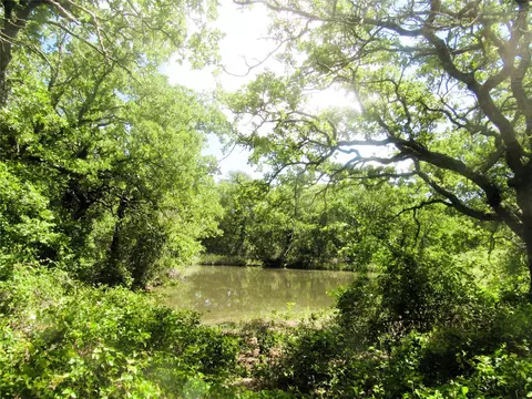 601 Our Rd, Perrin, TX 76486