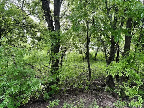 lot8 Cashs Mill Rd, Sanger, TX 76266