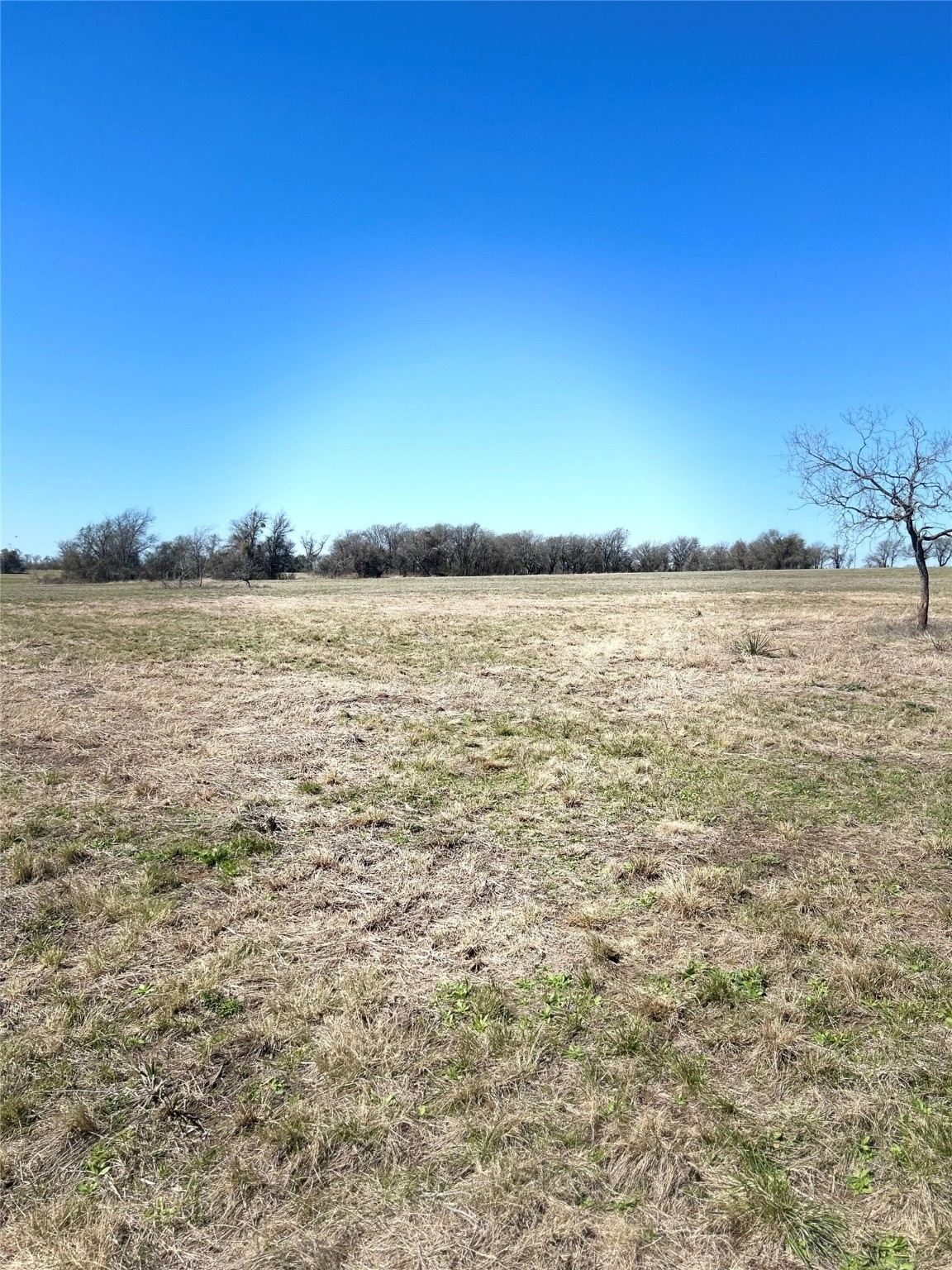 lot11 Private Rd 425  