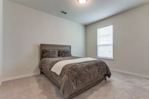2100 Robert St, Anna, TX 75409 photo 17