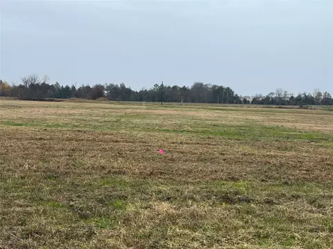 tbd NE County Road 1010 Lot #11, Rice, TX 75155