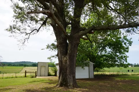 01 Shady Ln, Poynor, TX 75782