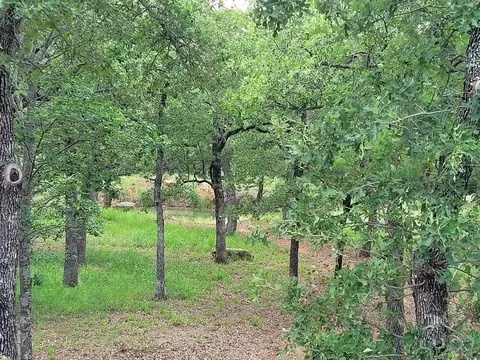 101 Pheasant Run Ct, Sunset, TX 76270 photo 24