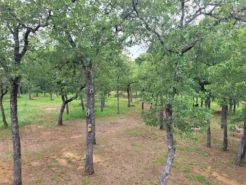 101 Pheasant Run Ct, Sunset, TX 76270 photo 23