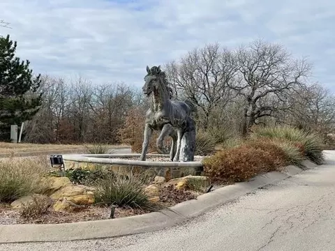 101 Pheasant Run Ct, Sunset, TX 76270 photo 38