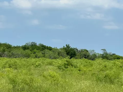 Tbd 21.5 Acres Fcr 1020, Wortham, TX 76693