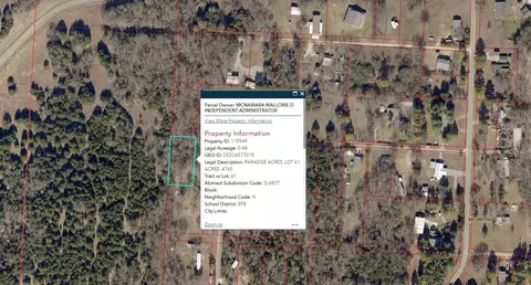 tbd Riner Lot 61 Rd, Pottsboro, TX 75076